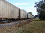 Auto Train Auto Racks